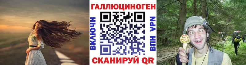 Псилоцибиновые грибы Psilocybine cubensis Нягань